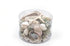 green and pearl seashell pack
